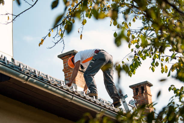 Best Best Roofing Contractors  in Honey Grove, TX