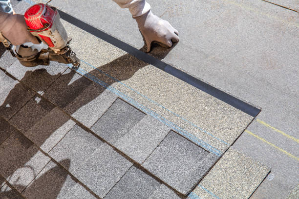 Best Gutter Installation and Roofing  in Honey Grove, TX
